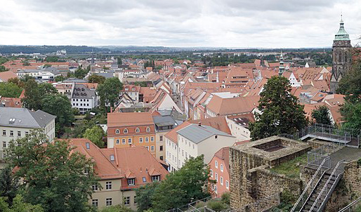 Panorama von Pirna, Kaminholz kaufen in Pirna