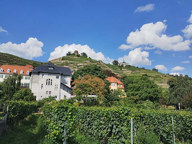 Radebeul, Kaminholz kaufen in Radebeul